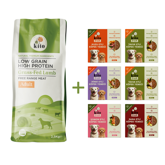 Kuzu Etli Yetişkin Köpek Maması 2,5 Kg + Kito Fresh %100 Taze İçerikli Mama Tanışma Paketi
