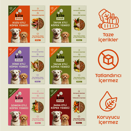 Kito Fresh Köpekler için %100 Taze İçerikli Mama Tanışma Paketi