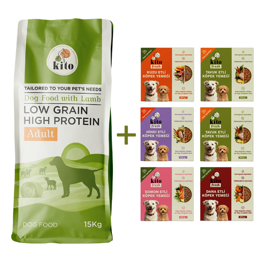 Kuzu Etli Yetişkin Köpek Maması 15 Kg + Kito Fresh %100 Taze İçerikli Mama Tanışma Paketi