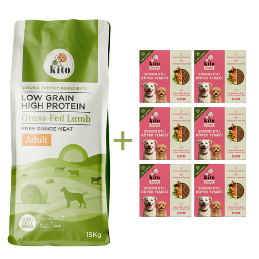 Kuzu Etli Yetişkin Köpek Maması 15 Kg + 6 Adet Kito Fresh Somon Etli %100 Taze İçerikli Mama