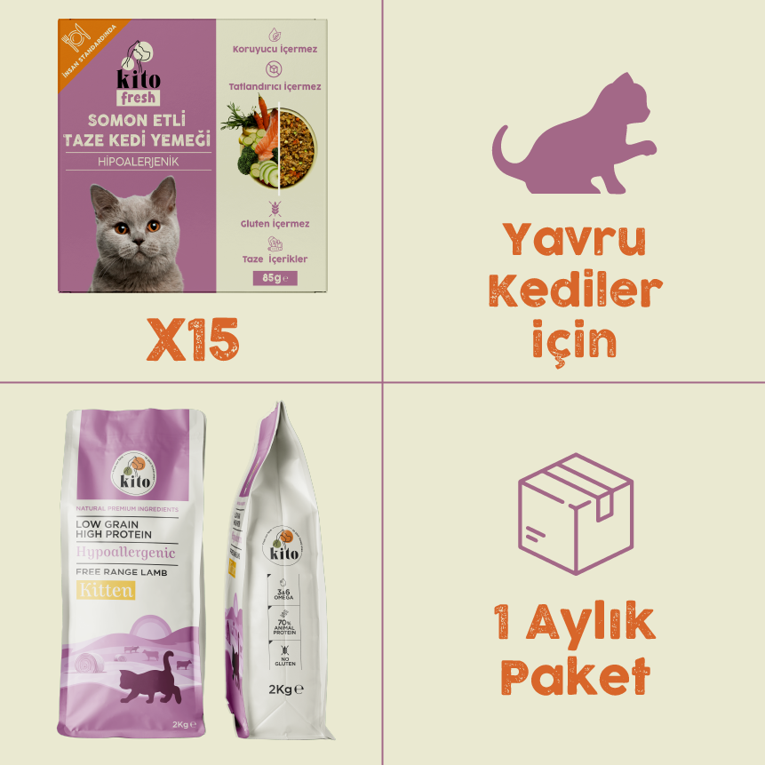 15 Pieces of Kito Fresh with Salmon + 2 kg Kitten Cat Food