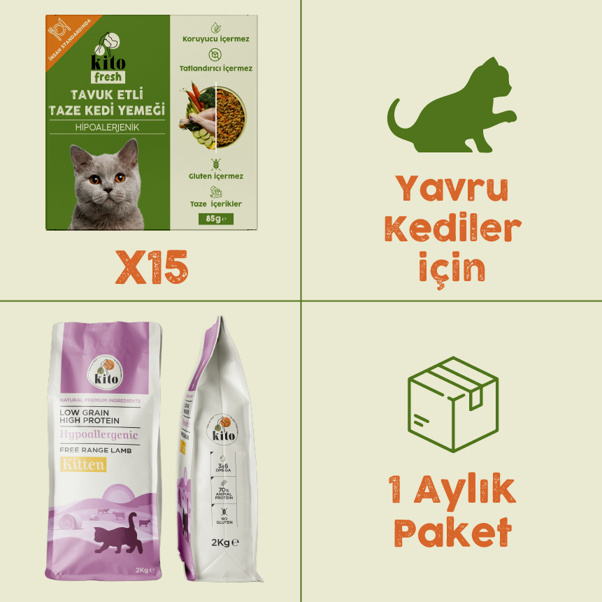 15 Pieces of Kito Fresh with Chicken + 2 kg Kitten Cat Food