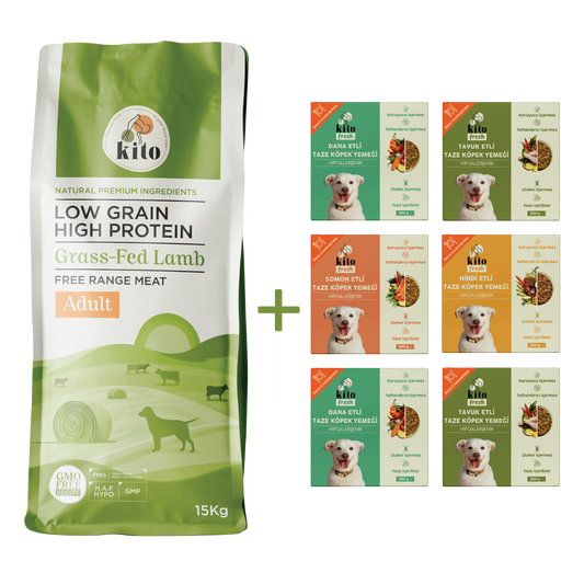 Kuzu Etli Yetişkin Köpek Maması 15 Kg + Kito Fresh %100 Taze İçerikli Mama Tanışma Paketi