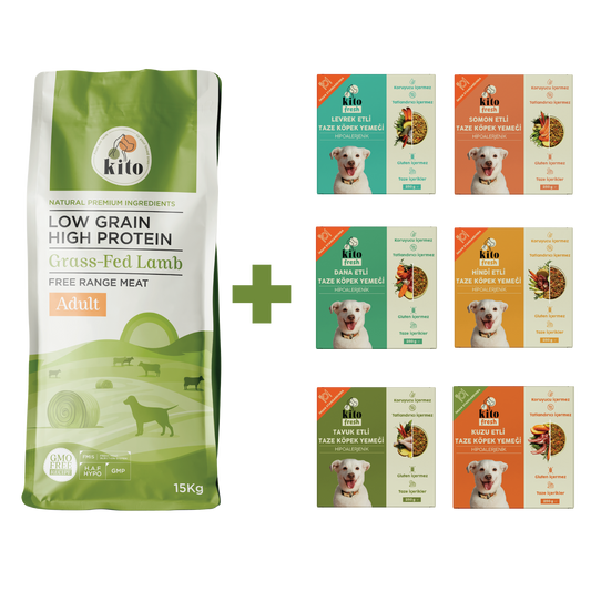 Yetişkin Köpek Maması 15 KG + Köpek Kito Fresh Tanışma Paketi