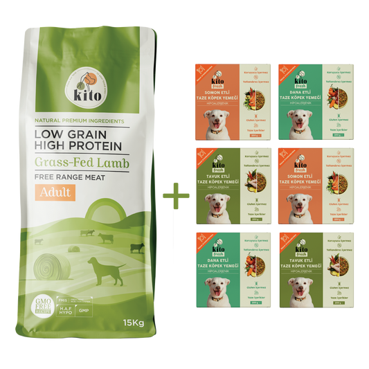 Kuzu Etli Yetişkin Köpek Maması 15 Kg + Kito Fresh %100 Taze İçerikli Mama Tanışma Paketi