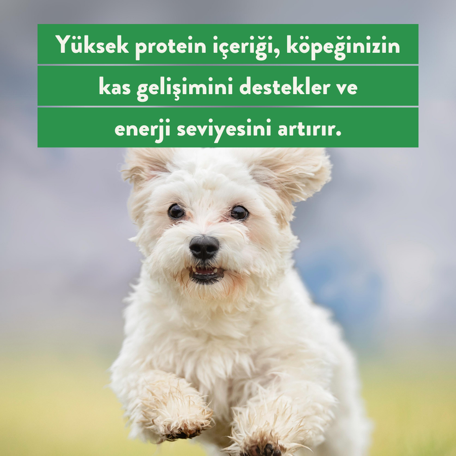 Kito Freeze Dried Tavuk Göğüs Ödül Maması 30 gr (Köpekler için)