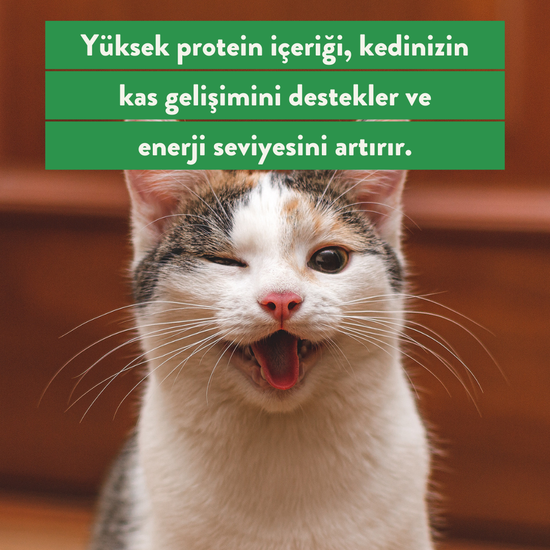 Hindi Göğüs Ödül Maması