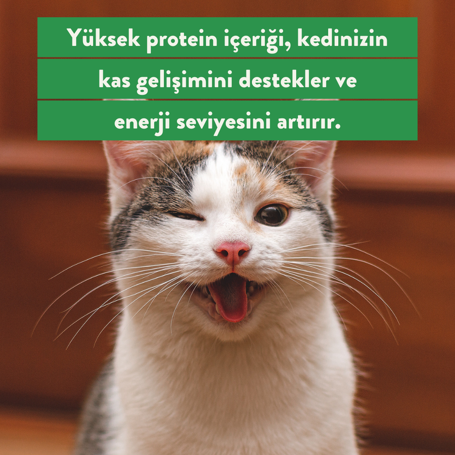 Kito Freeze Dried Alabalık Ödül Maması Kediler için 30 gr