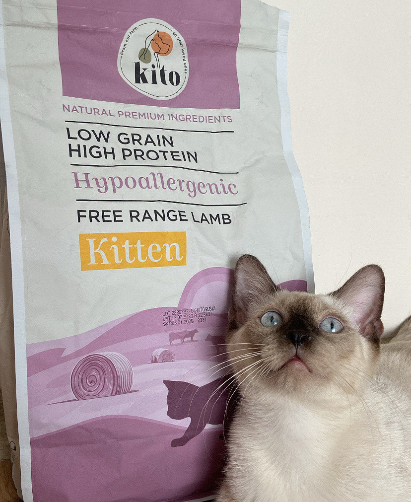 3 pieces of 2 kg kitten food