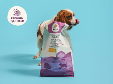 Yavru Köpek Kuru Mama