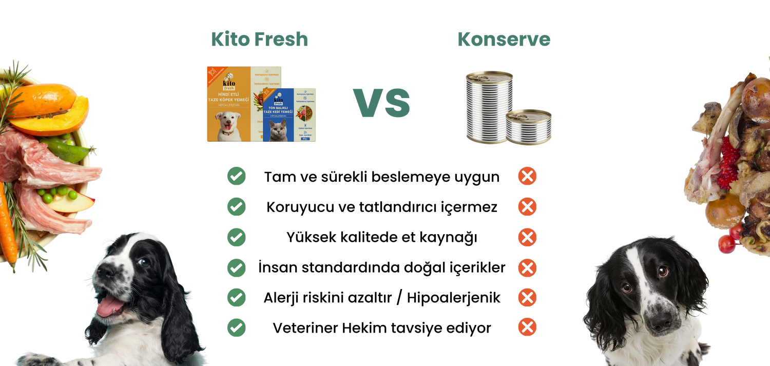 Kito Fresh - Konserve Karşılaştırma