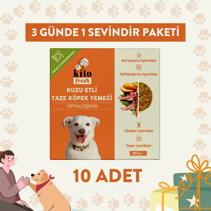 3 Günde 1 Sevindir Paketi Kito Fresh Kuzu Etli Köpek Yemeği 250 gr (10 Adet)