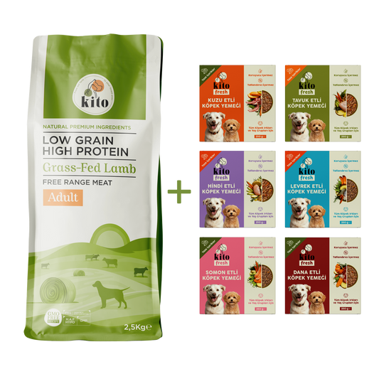 Kuzu Etli Yetişkin Köpek Maması 2,5 Kg + Kito Fresh %100 Taze İçerikli Mama Tanışma Paketi