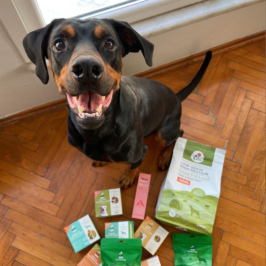 Yetişkin Köpek Maması 2,5 KG + Kuzu Etli Köpek Kito Fresh X 6