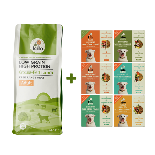Kuzu Etli Yetişkin Köpek Maması 2,5 Kg + Kito Fresh %100 Taze İçerikli Mama Tanışma Paketi