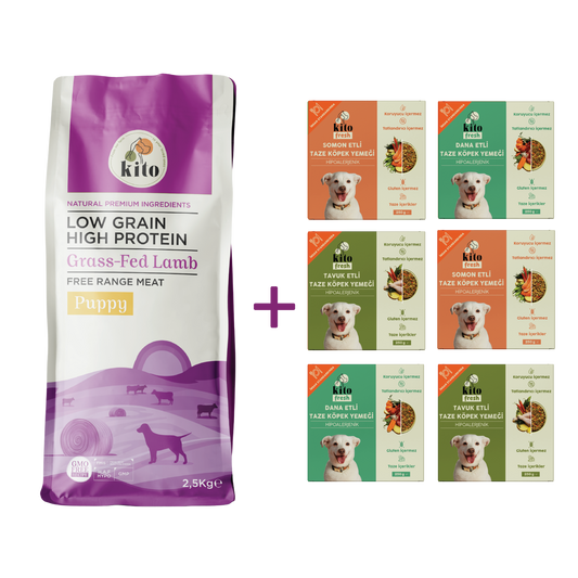 Kuzu Etli Yavru Köpek Maması 2.5 KG + Kito Fresh %100 Taze İçerikli Mama Tanışma Paketi
