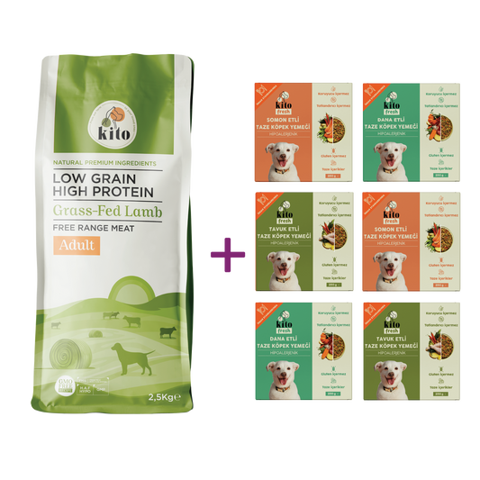 Kuzu Etli Yetişkin Köpek Maması 2,5 Kg + Kito Fresh %100 Taze İçerikli Mama Tanışma Paketi