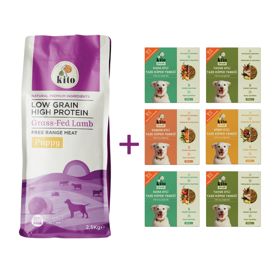Kuzu Etli Yavru Köpek Maması 2.5 KG + Kito Fresh %100 Taze İçerikli Mama Tanışma Paketi