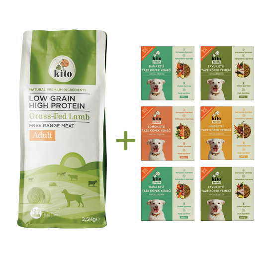 Kuzu Etli Yetişkin Köpek Maması 2,5 Kg + Kito Fresh %100 Taze İçerikli Mama Tanışma Paketi