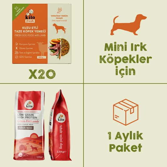 20 Adet Kuzu Etli Kito Fresh + 2,5 kg  Yetişkin Mini Irk Köpek Maması