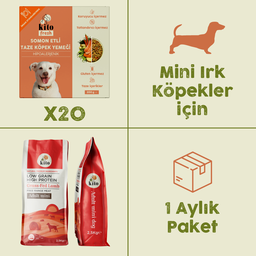 20 Adet Somon Etli Kito Fresh + 2,5 kg  Yetişkin Mini Irk Köpek Maması