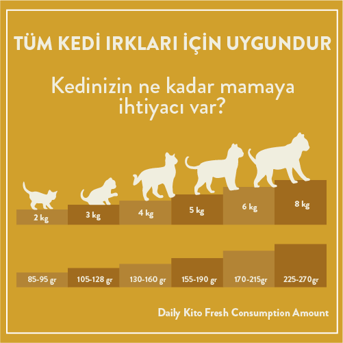Kito Fresh Hindi Etli Kedi Yemeği 85 gr