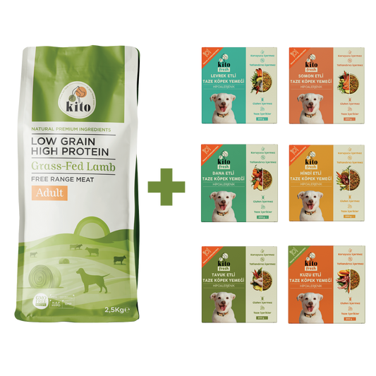 Yetişkin Köpek Maması 2,5 KG + Köpek Kito Fresh Tanışma Paketi