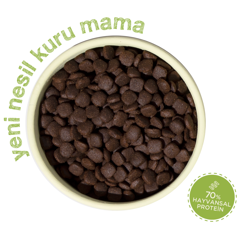 Yetişkin Köpek Maması 7 Kg