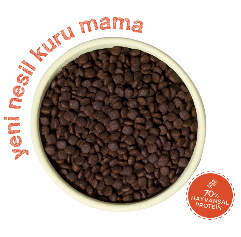 Adult Mini Kuru Mama