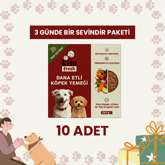 3 Günde 1 Sevindir Paketi Kito Fresh Dana Etli Köpek Yemeği %100 Taze İçerikli Mama 250 gr (10 Adet)
