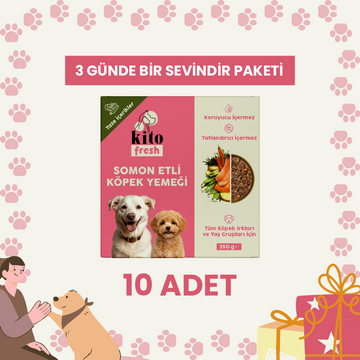 3 Günde 1 Sevindir Paketi Kito Fresh Somon Etli Köpek Yemeği %100 Taze İçerikli Mama 250 gr (10 Adet)