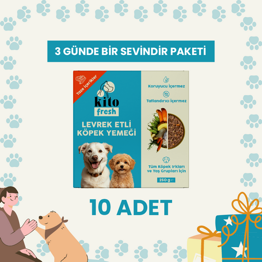 3 Günde 1 Sevindir Paketi Kito Fresh Levrek Etli Köpek Yemeği %100 Taze İçerikli Mama 250 gr (10 Adet)