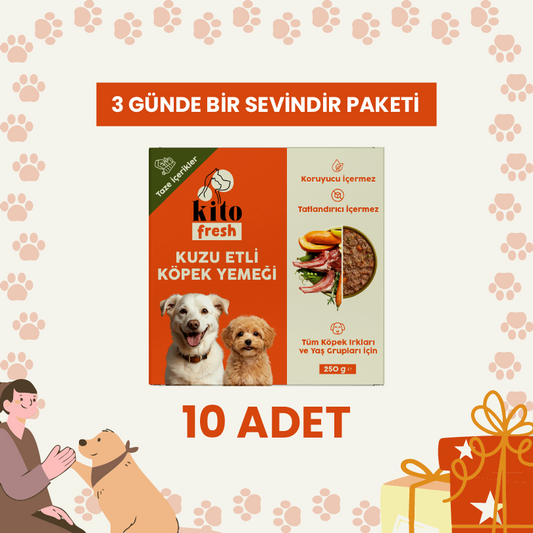 3 Günde 1 Sevindir Paketi Kito Fresh Kuzu Etli Köpek Yemeği %100 Taze İçerikli Mama 250 gr (10 Adet)