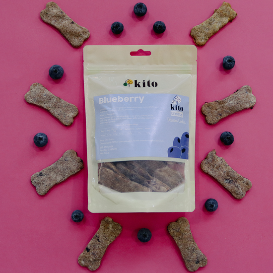 Yaban Mersinli Cookie