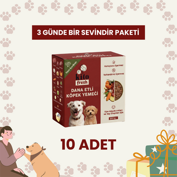 3 Günde 1 Sevindir Paketi Kito Fresh Dana Etli Köpek Yemeği %100 Taze İçerikli Mama 250 gr (10 Adet)