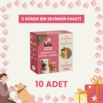 3 Günde 1 Sevindir Paketi Kito Fresh Somon Etli Köpek Yemeği %100 Taze İçerikli Mama 250 gr (10 Adet)