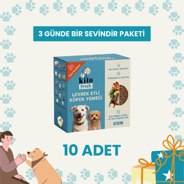 3 Günde 1 Sevindir Paketi Kito Fresh Levrek Etli Köpek Yemeği %100 Taze İçerikli Mama 250 gr (10 Adet)