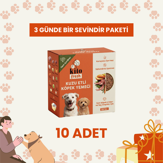 3 Günde 1 Sevindir Paketi Kito Fresh Kuzu Etli Köpek Yemeği %100 Taze İçerikli Mama 250 gr (10 Adet)