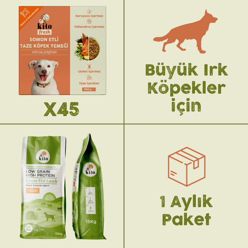 45 Adet Somon Etli Kito Fresh + 15 kg Yetişkin Köpek Maması