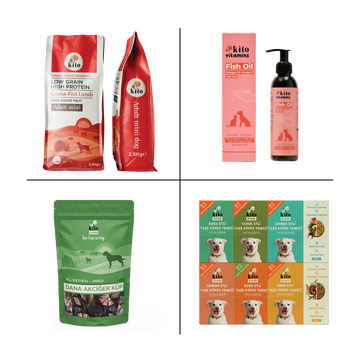 Kito Mini Irk Tanışma Paketi