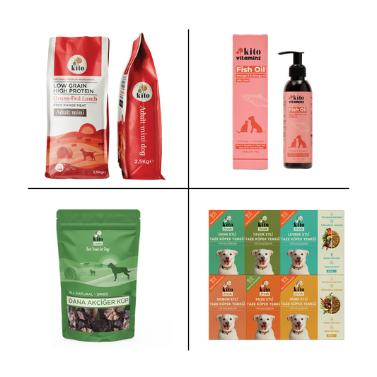 Kito Mini Irk Tanışma Paketi