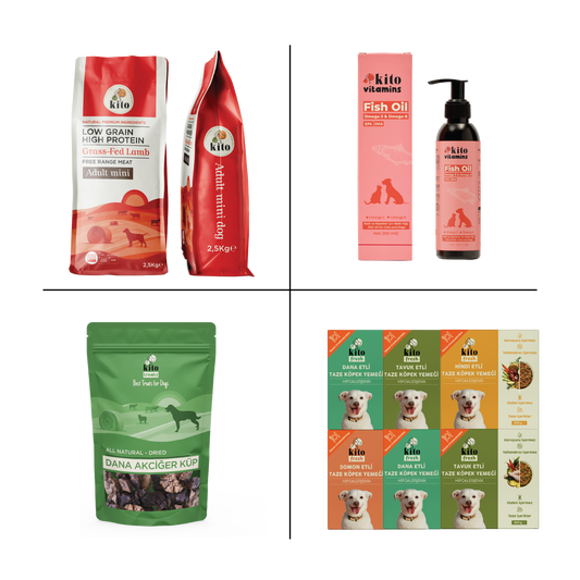 Kito Mini Irk Tanışma Paketi