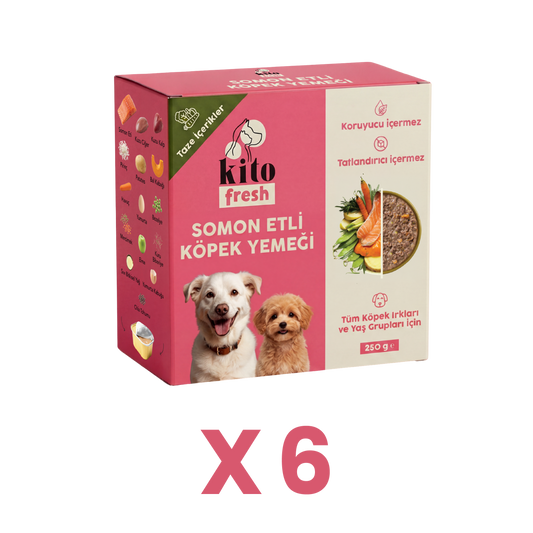 6 Adet Kito Fresh Somon Etli Köpek Yemeği %100 Taze İçerikli Mama (1,5 KG)