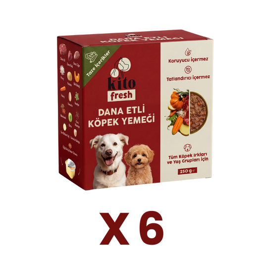 Kito Fresh Dog Food Beef Recipe, 6 x 250 g (1.5 kg)