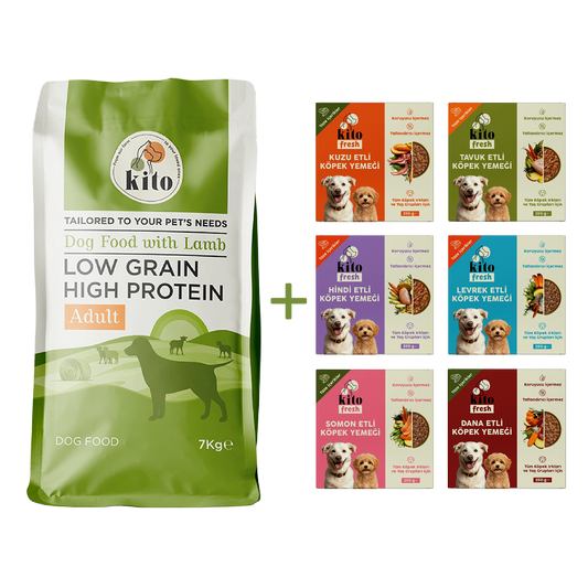 Kuzu Etli Yetişkin Köpek Maması 7 Kg + Kito Fresh %100 Taze İçerikli Mama Tanışma Paketi
