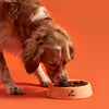 Adult Dog Food with Grass-Fed Lamb 7 kg