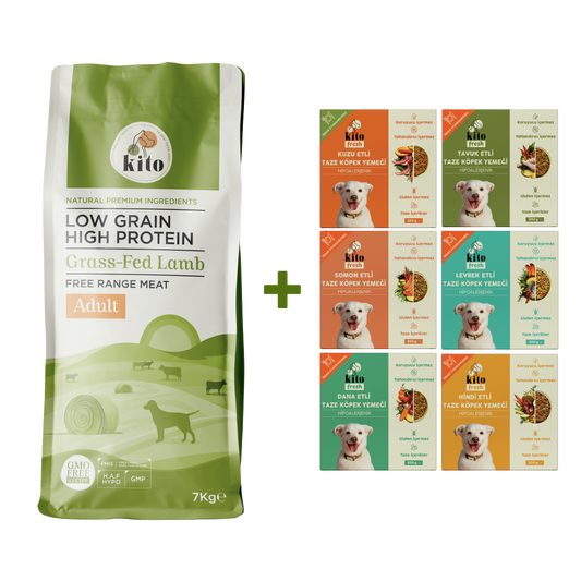 Kuzu Etli Yetişkin Köpek Maması 7 Kg + Kito Fresh %100 Taze İçerikli Mama Tanışma Paketi