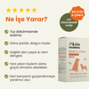Kito Skin & Coat Köpekler için Tüy Sağlığını Destekleyici Multivitamin