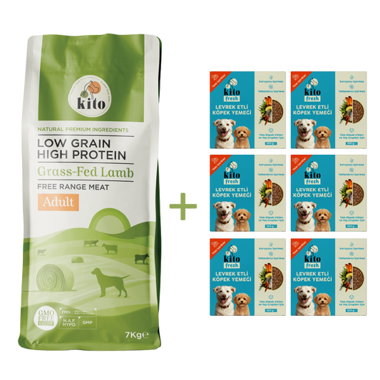 Kuzu Etli Yetişkin Köpek Maması 7 Kg + 6 Adet Kito Fresh Levrek Etli %100 Taze İçerikli Mama