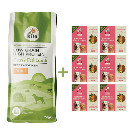 Kuzu Etli Yetişkin Köpek Maması 7 Kg + 6 Adet Kito Fresh Somon Etli %100 Taze İçerikli Mama